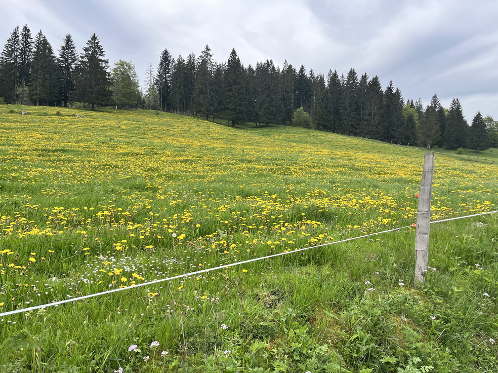 23-05-21 10-56-41 5512